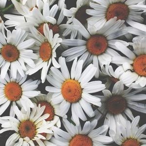 Meet your Posher, Kara